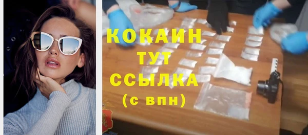 хмурый Верея