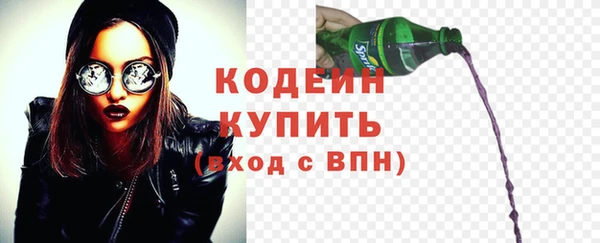 a pvp Бородино