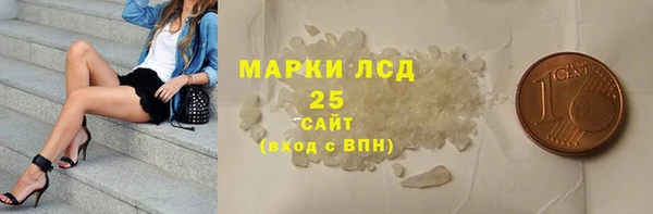 a pvp Бородино