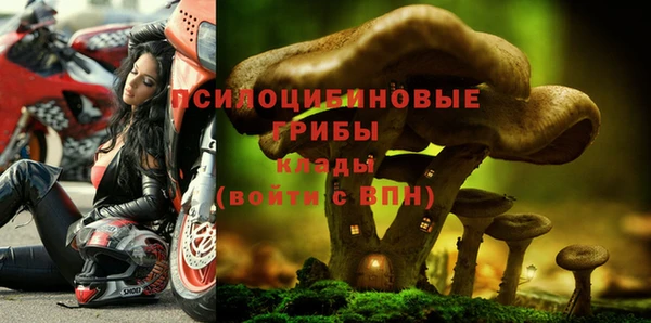 spice Белокуриха