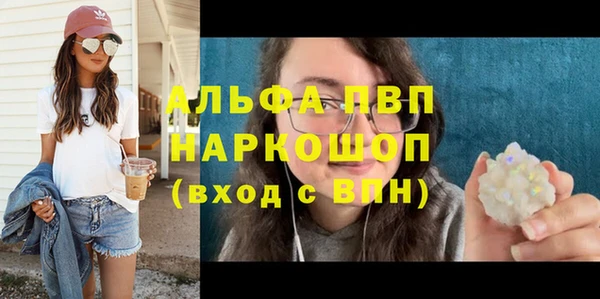 a pvp Бородино