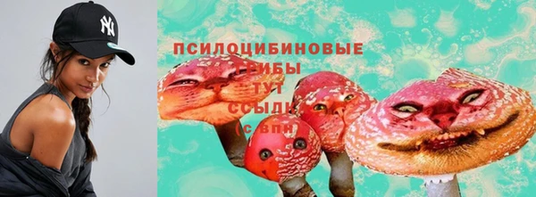 ешки Бугульма