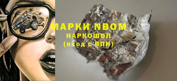 a pvp Бородино