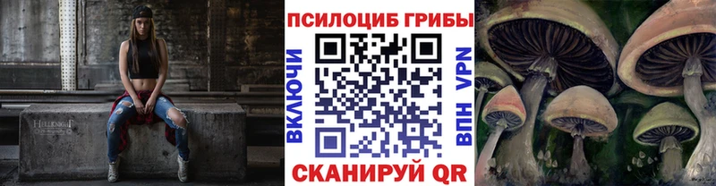хочу   Верхняя Тура  Галлюциногенные грибы Psilocybe 